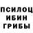 Галлюциногенные грибы Psilocybe alenna