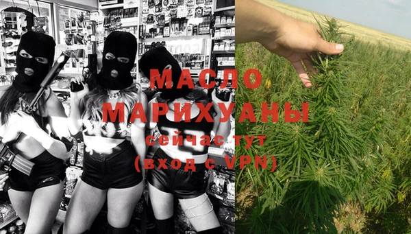 дмт Богданович