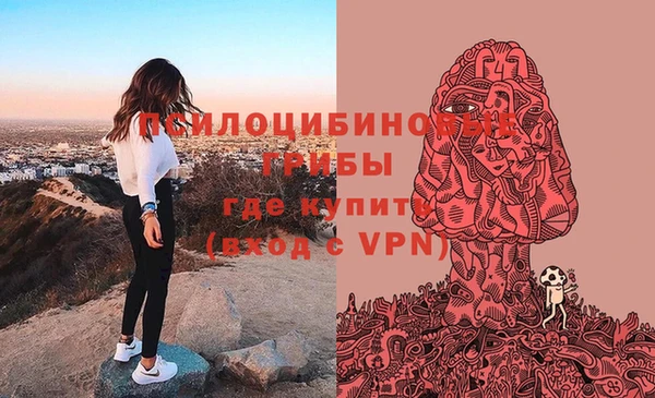 дмт Белокуриха