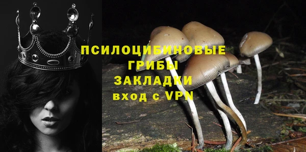 дмт Белокуриха