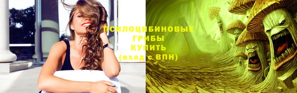 сатива Белоозёрский