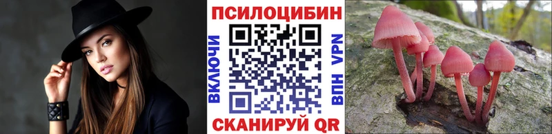 Галлюциногенные грибы Cubensis  продажа наркотиков  Ува 